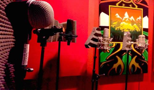 Studio Mics